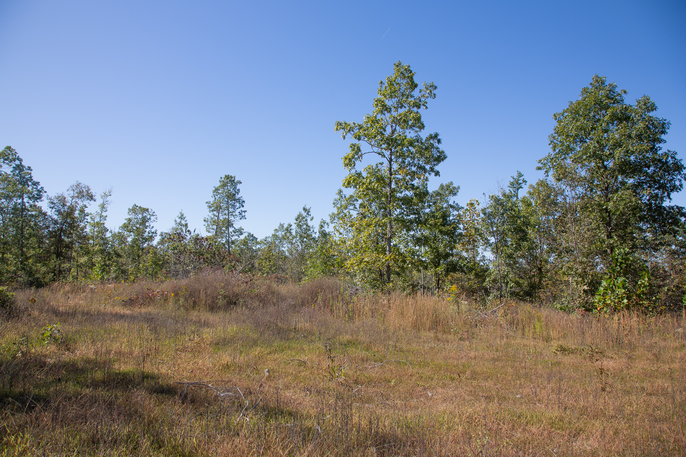 Tract 102 at Borgmanns Hollow Phase III in Shannon County, Missouri