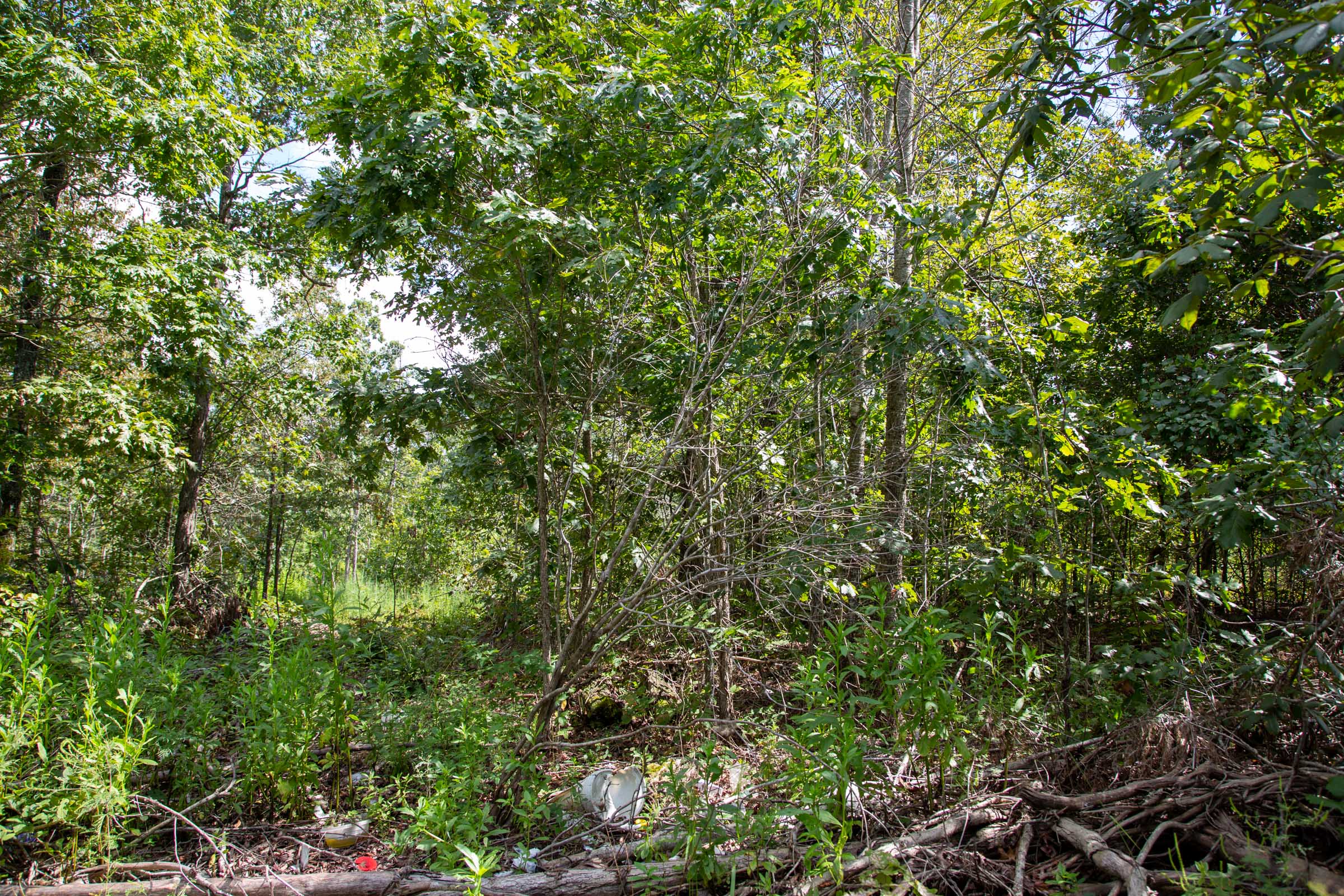 Tract 80 at Borgmanns Hollow Phase III in Shannon County, Missouri