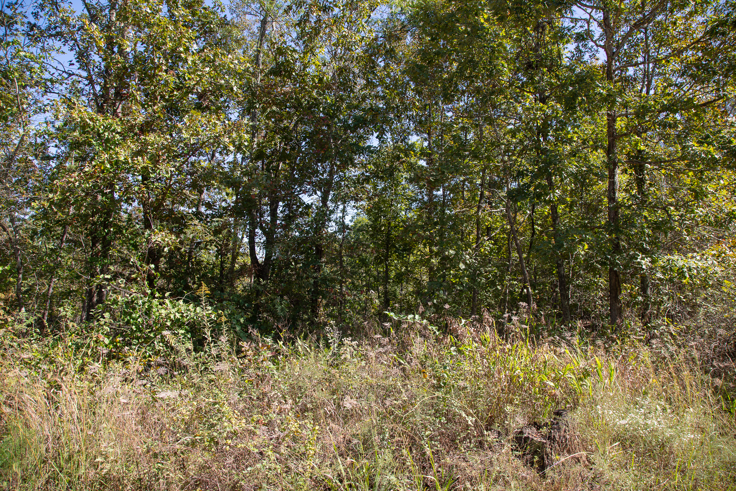 Tract 93 at Borgmanns Hollow Phase III in Shannon County, Missouri