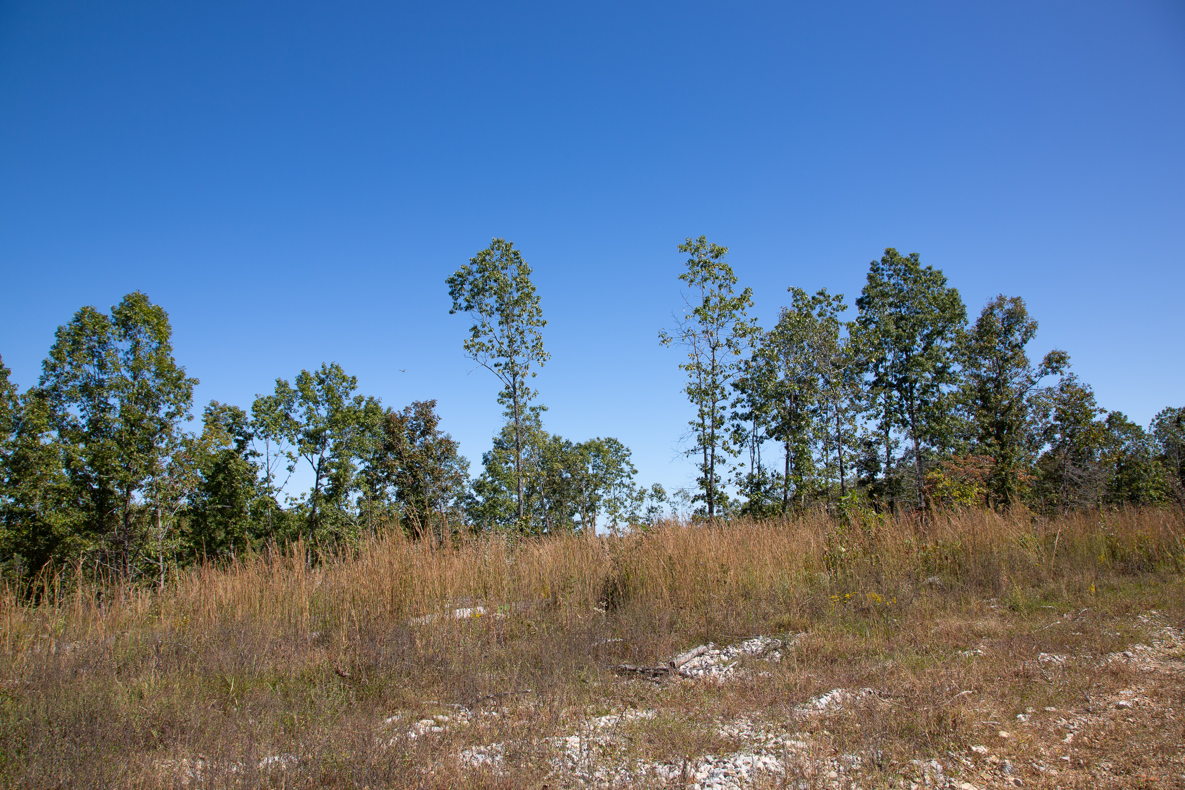Tract 94 at Borgmanns Hollow Phase III in Shannon County, Missouri