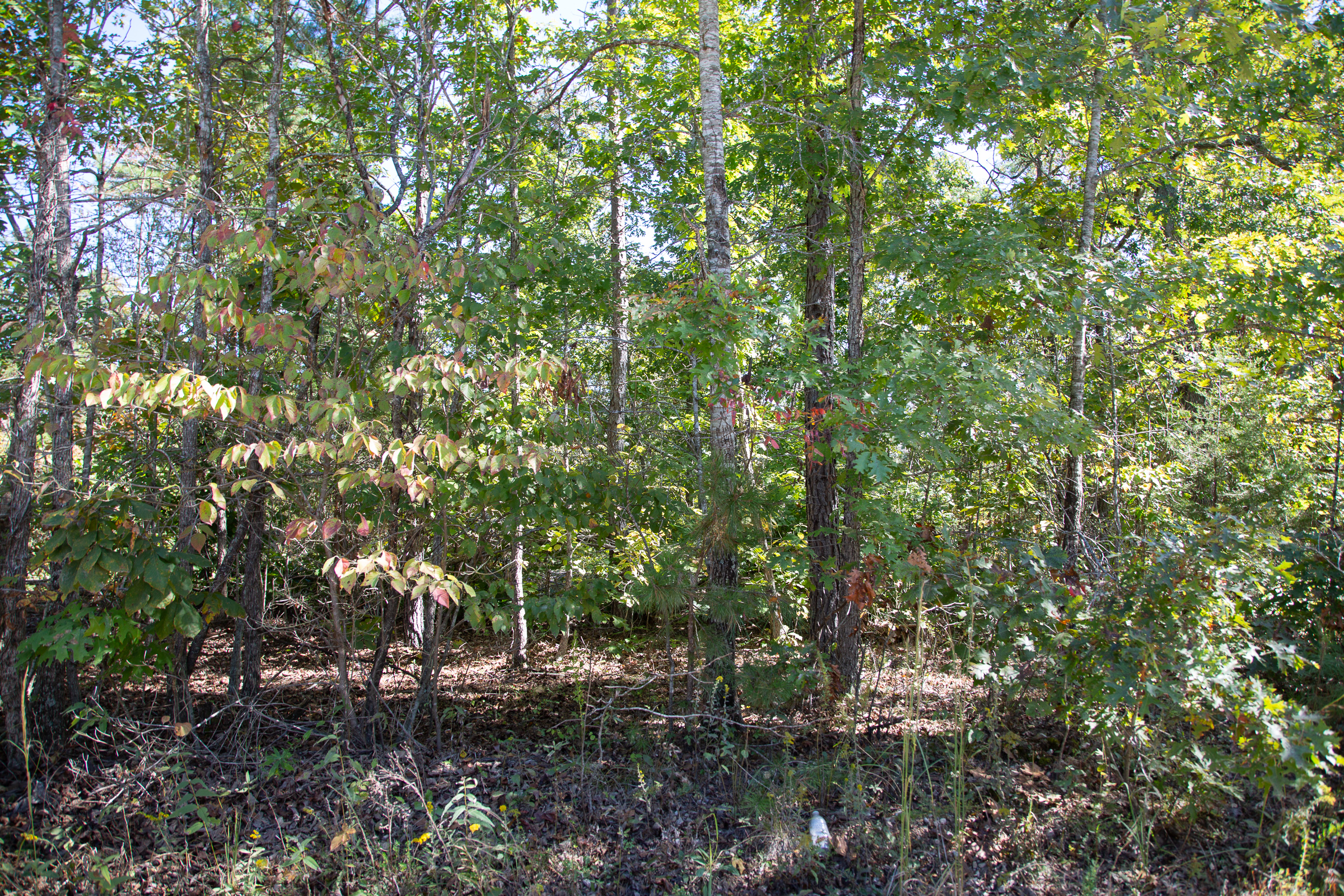 Tract 95 at Borgmanns Hollow Phase III in Shannon County, Missouri