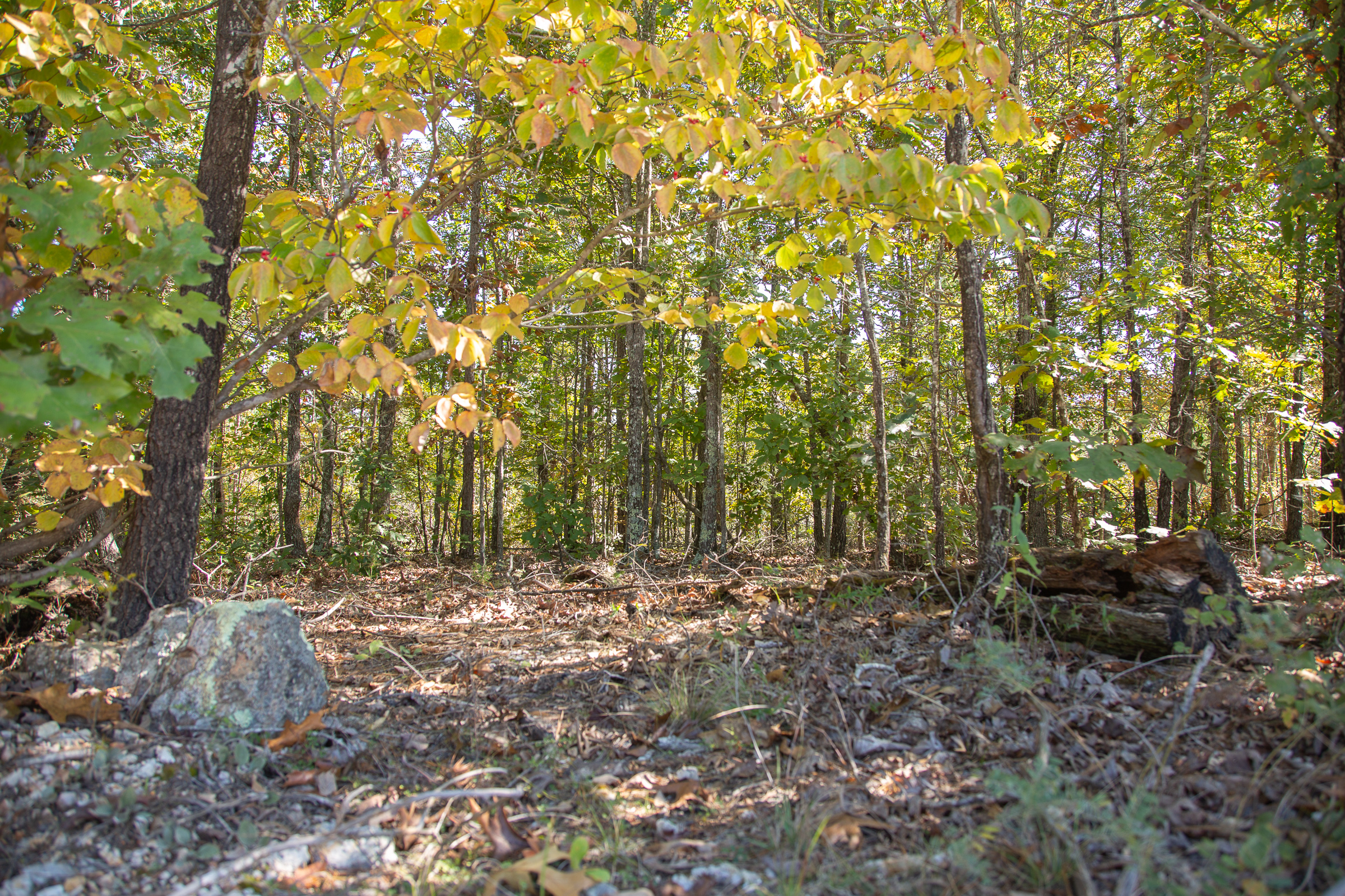 Tract 96 at Borgmanns Hollow Phase III in Shannon County, Missouri